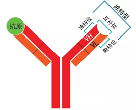 c32eb065-09bf-4fe3-8518-70af52c13090 28圈-28圈官方网站-相信品牌的力量