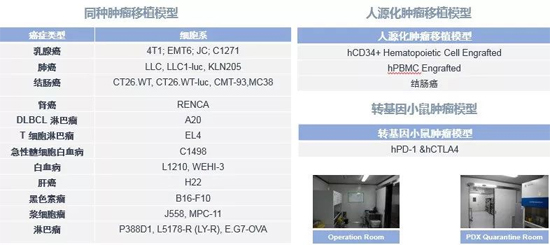 28圈药效学动物模型