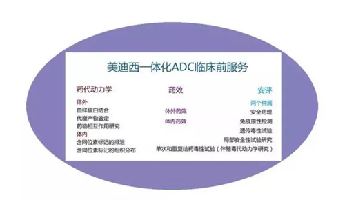 13d23707-2619-4502-9d6f-e934eaf0d937 28圈一体化ADC临床前服务