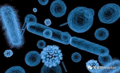 20分钟，大多数细菌都可以繁衍一代 28圈生物医药
